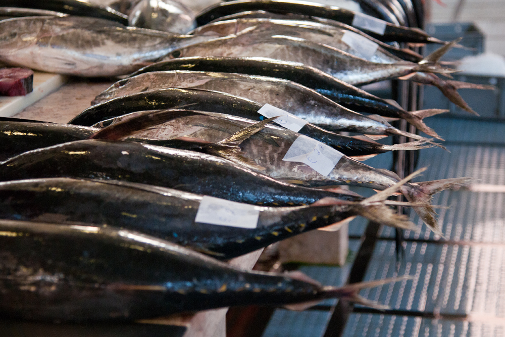 623_Madera_Funchal - targ Mercado dos Lavradores.jpg